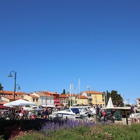Gianna N2, 600 M From The Beach Novigrad Istria 外观 照片