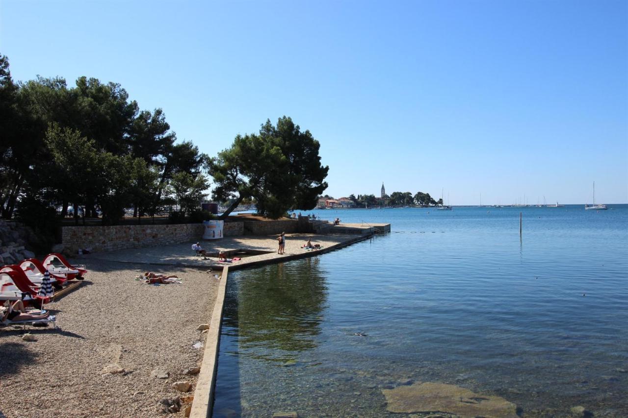 Gianna N2, 600 M From The Beach Novigrad Istria 外观 照片