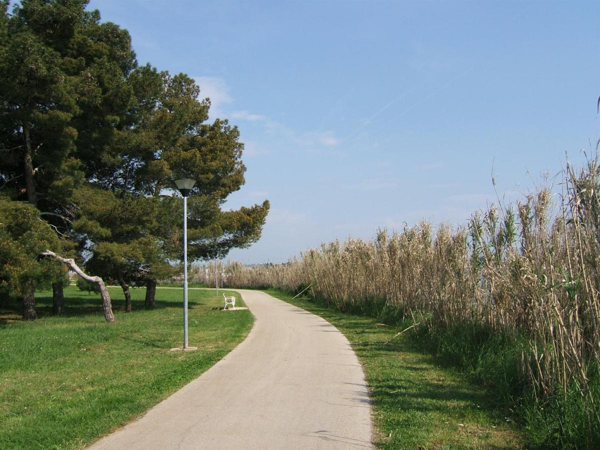 Gianna N2, 600 M From The Beach Novigrad Istria 外观 照片